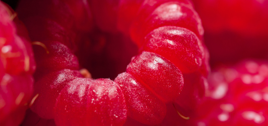 The Essential Role of Vitamin C in Healthy Aging Skin Care